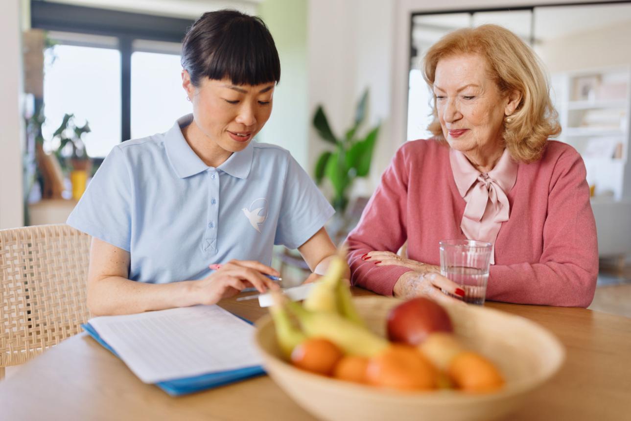 Companion reviewing the service plan with elderly client during consultation